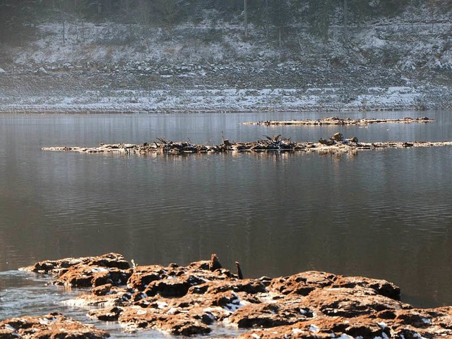 Torfinseln tauchen bei geringen Wasserstnden im Schluchsee immer wieder auf.   | Foto: Friedbert Zapf