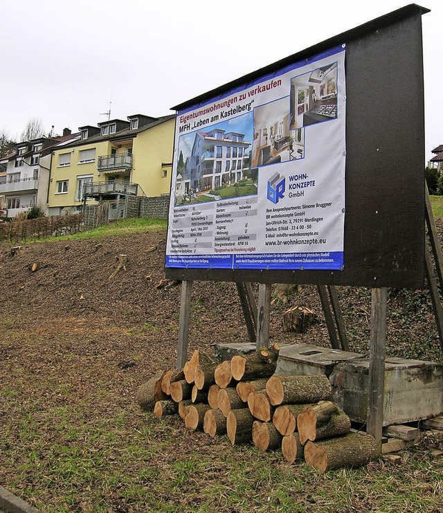 Am Kastelberg sollen Baulcken geschlo...aber regulr ber einen Bebauungsplan.  | Foto: Sylvia Karina Jahn