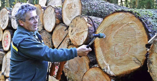 Gemeinderat und Revierfrster Roland B... Planung der Waldbewirtschaftung vor.   | Foto: Sebastian Barthmes