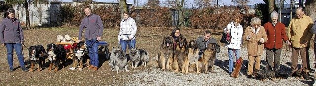 Treffpunkt fr Hund und Herrchen/Frauc...tionale Rassehunde-Ausstellung statt.   | Foto: Hubert Rderer