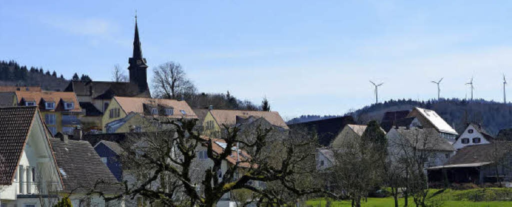 Blick ber Heuweiler auf die Rokopf-W...eser Standort zu wenig Ertrag bringt.   | Foto: Max Schuler