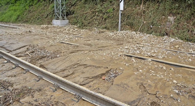 Beim Unwetter vom Juni 2015 wurden in ...llingen die Bahngleise  berschwemmt.   | Foto: Archivfoto: Markus Maier