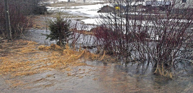 &#8222;Land unter&#8220; - wo bei der ...sich derzeit ein veritables Seengebiet  | Foto: Karin Stckl-Steinebrunner