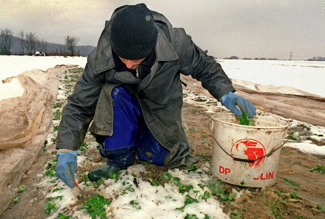 Weil leben und arbeiten beim Landwirt ...men  viele nicht mehr zum Abschalten.   | Foto: dpa