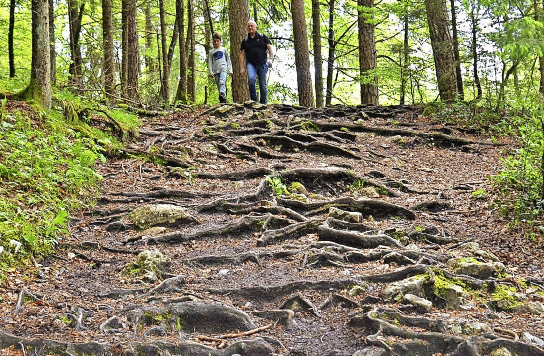 Fr Wanderer und Einsatzkrfte soll di... in der Wutachschlucht besser werden.   | Foto: Martin Wunderle