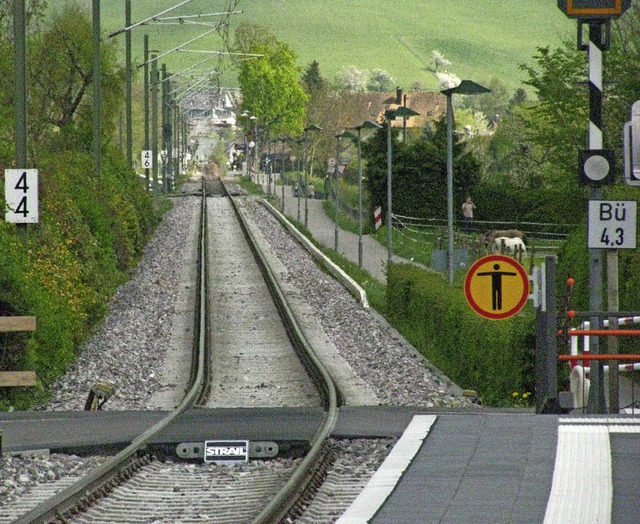 Die Trasse der Mnstertalbahn eignet s...dest bis zum Bahnhof (im Hintergrund).  | Foto: Manfred Lange
