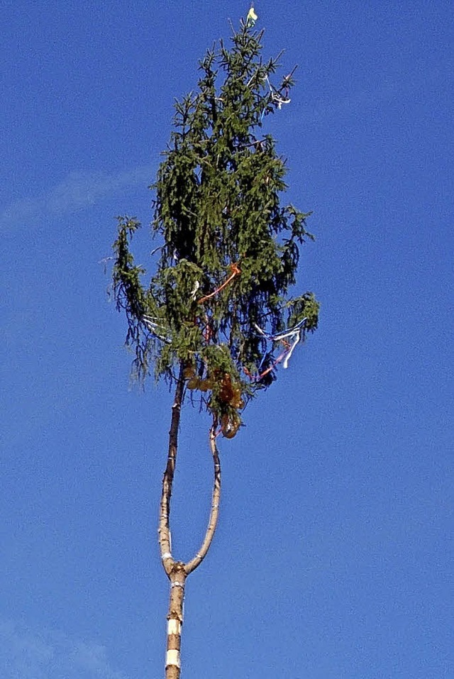 Ausgedient hat der Narrenbaum. Am Sams...e der Freiwilligen Feuerwehr gefllt.   | Foto: STAHL