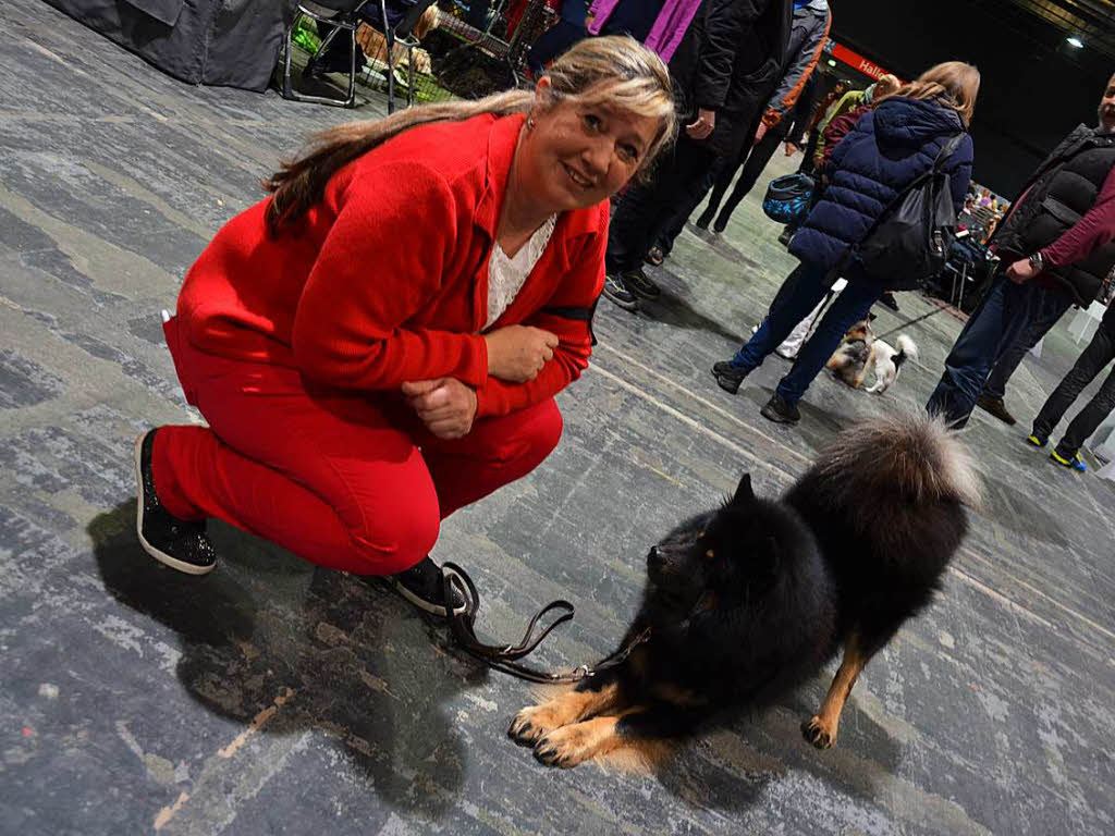 Rassehunde-Ausstellung in Offenburg: Die Hunde kamen aus 23 europischen Lndern.