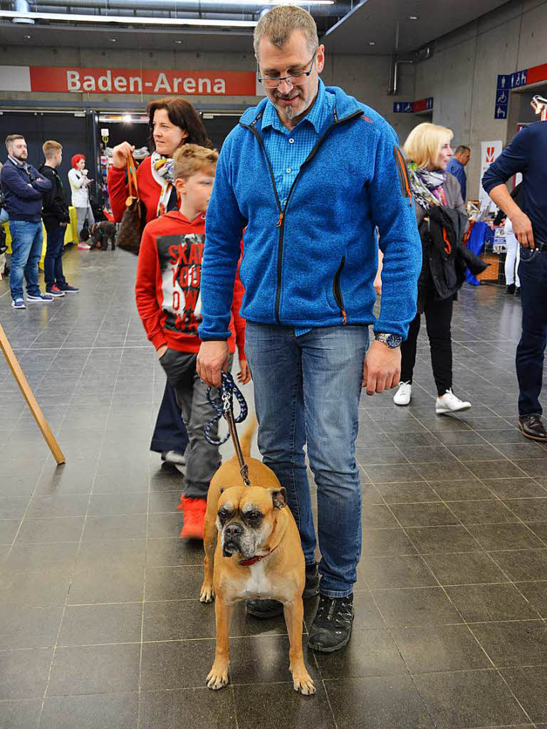Rassehunde-Ausstellung in Offenburg: Die Hunde kamen aus 23 europischen Lndern.