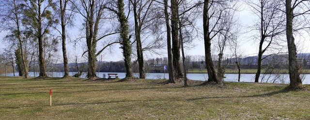 Das Rheinufer am Murger Weg zwischen R...oll stdtebaulich aufgewertet werden.   | Foto: Nino Betz