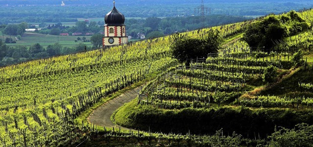 Ehrenkirchen, eine Weinbaugemeinde? Da...zierung ber den Weinbau nachgelassen.  | Foto: Siegfried Gollrad