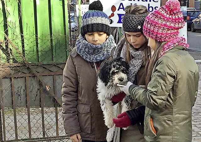 Phillis Lara Lau hat Hund Eddie fest i...hieu Harre (links) und Smilla Kunkel.   | Foto: Sonja Zellmann