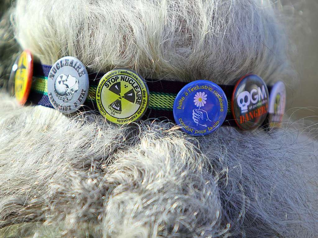 Beim Protest gegen das Atomkraftwerk in Fessenheim war einiges los.