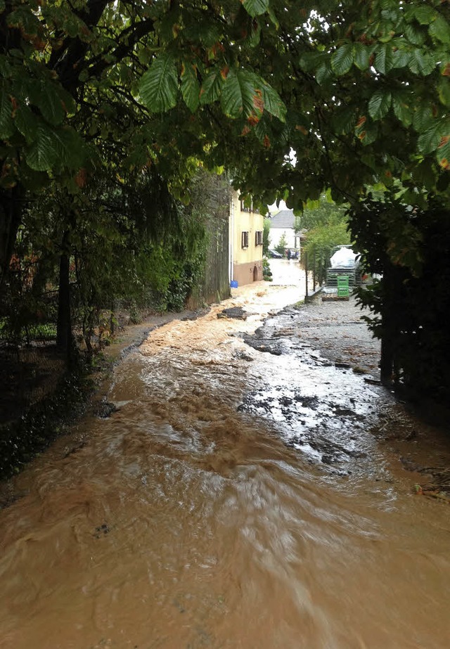 Die Zeiten des Hochwassers in Schmiehe...meinderat hat ein Konzept abgesegnet.   | Foto: Jrgen Kase
