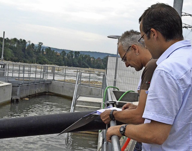 Das Umgehungsgewsser ist nach Kenntni...auch Jochen Ulrich von Energiedienst.   | Foto: Ingrid Bhm-Jacob