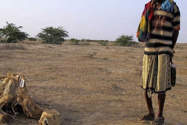 Somaliland fllt trotz des Friedens unter US-Einreisebann