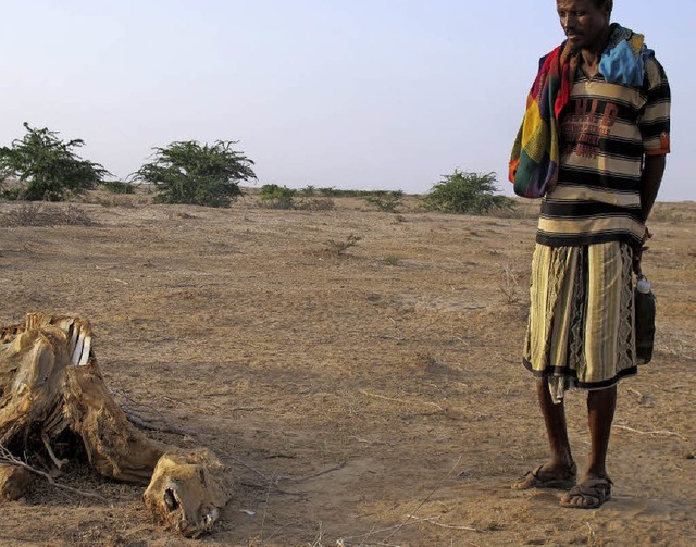 Somaliland leidet unter der Drre.  | Foto: DIETERICH