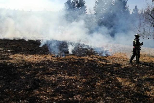 Ein Hektar Wiesenflche steht in Flammen