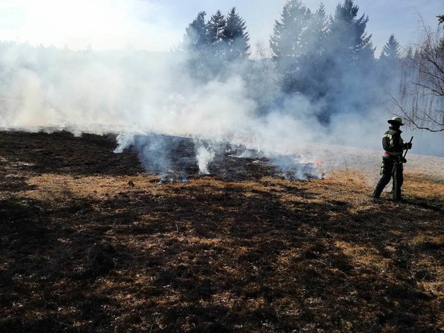 Einen Flchenbrand bei Holzschlag lsc...n angrenzenden Wald erreichen konnten.  | Foto: Olaf Thor