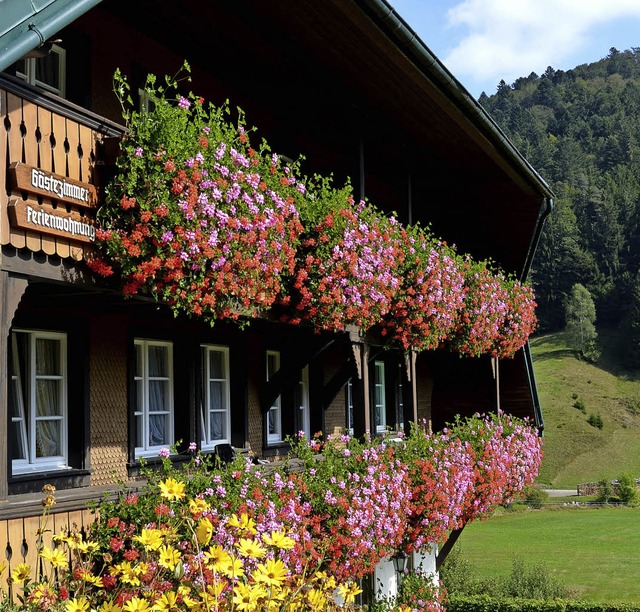 Dass Todtmoos seine schnen Seiten hat...rastruktur und Ortssanierung umfasst.   | Foto: Archivfoto: Hans-Dieter Folles