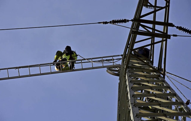 Die Freileitungsmonteure arbeiten in  ...he im Gebiet des Altrheins in Wyhlen.  | Foto: Heinz Vollmar