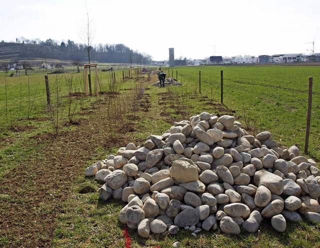 Hier entsteht der neue Lebensbereich fr Eidechsen und andere Kleintiere.  | Foto: Michael Haberer