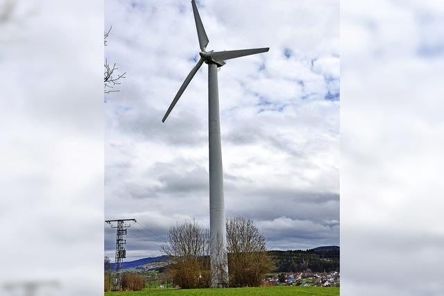 Windkraftgegner zählen mehr Horste als Investoren