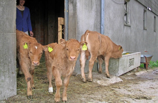 Die Landwirte mchten mehr Wertschtzung, auch als Milch- und Fleischerzeuger.   | Foto: Victoria Langelott