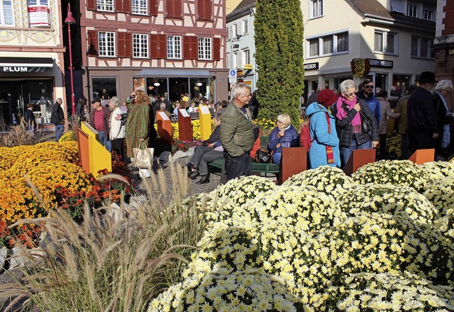Zur Chrysanthema in Lahr fuhr der Obst...rein Grwihl auch im vergangenen Jahr.  | Foto: Archivfoto: Karin Kaiser