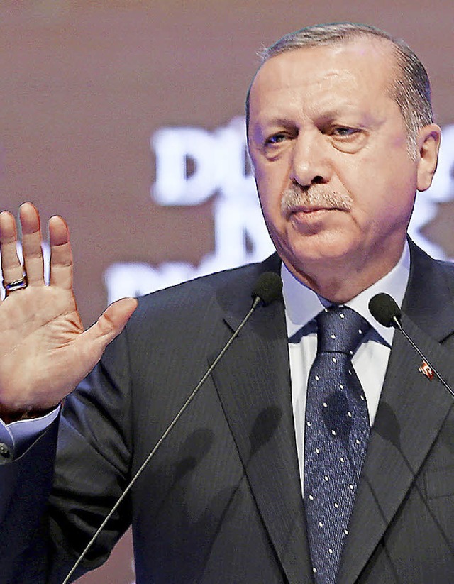 Reizfigur: Erdogan  | Foto: dpa