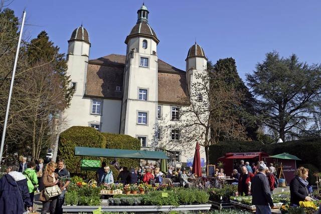 Ausstellung im Schlosspark