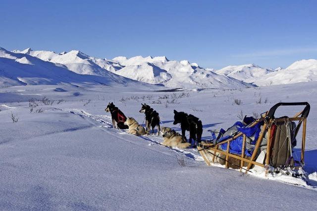 Seine Nachbarn heien Wolf, Elch, Grizzlybr