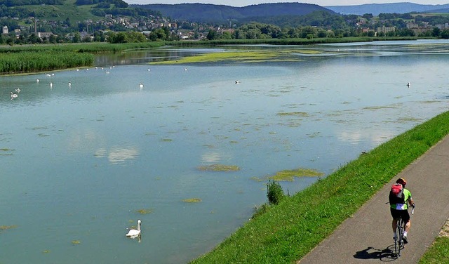 Der Klingnauer Stausee im Kanton Aargau   | Foto:  Manfred Herbst