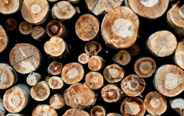 Die Nachfrage nach Holz ist hoch   | Foto: Dpa
