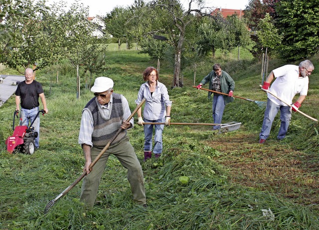 Etliche Arbeitseinstze absolvierten d...22;Heimatmuseum Streuobstwiese&#8220;.  | Foto: Dorothe Kuhlmann