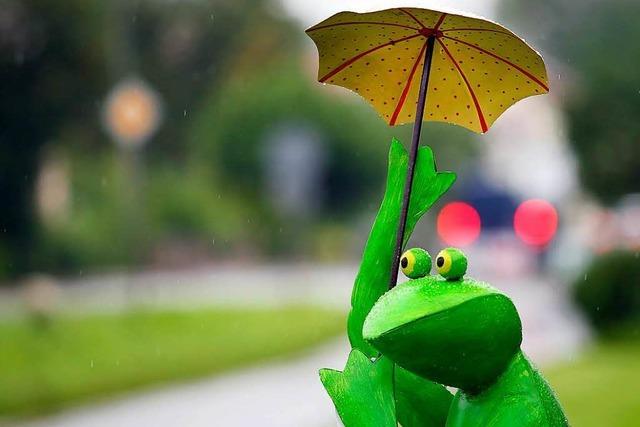 Wilhelm Nobis war 34 Jahre lang Ebringens Wetterfrosch