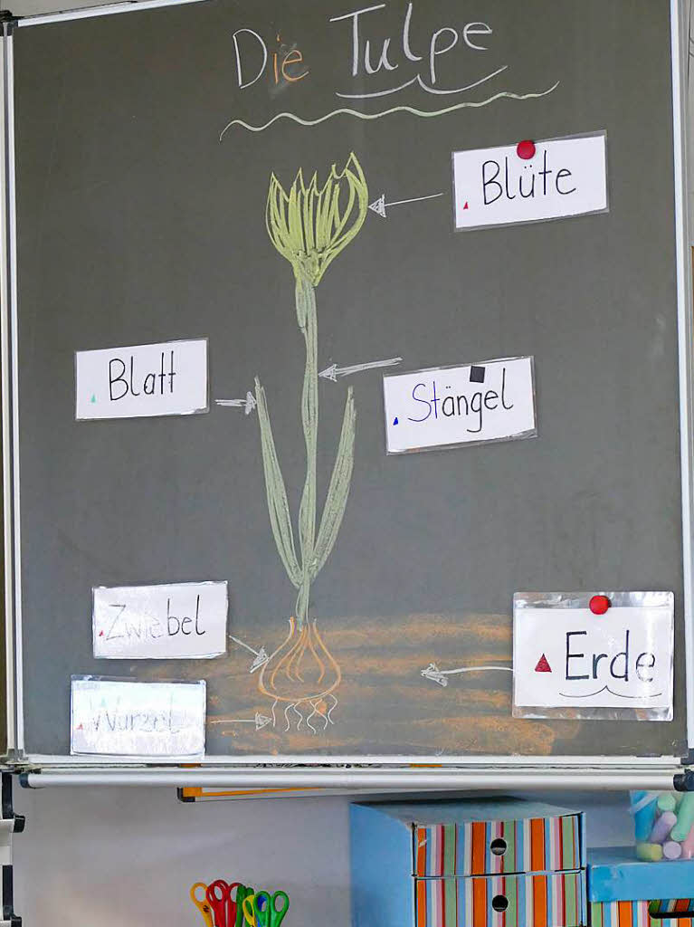 Um Deutsch zu lernen, helfen auch Zeichnen, Kleben und rhythmisches  Sprechen.