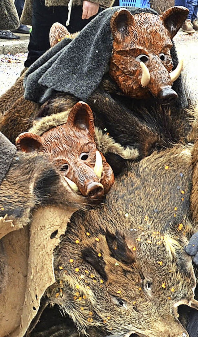 D&#8217; Ripplinger Wildsu an Fasnacht in Aktion   | Foto: Axel Kremp