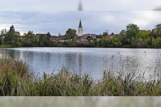 Rettung fr den Kofenweiher in Sicht