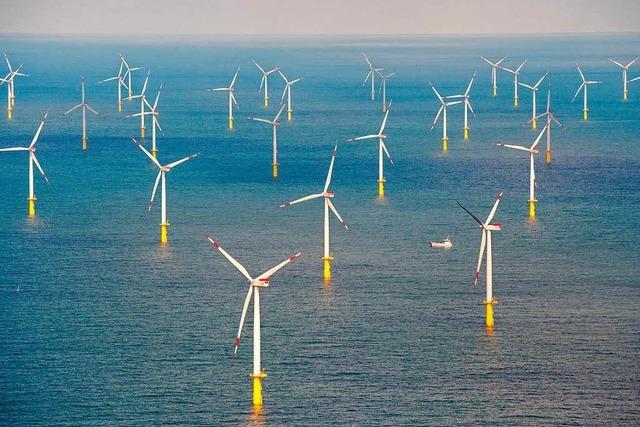 Künstliche Insel in Nordsee für Windpark geplant