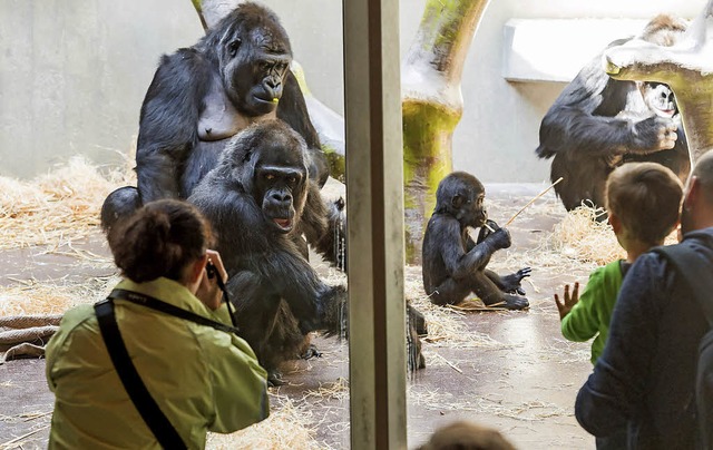   | Foto: Zoo Basel (Torben Weber)