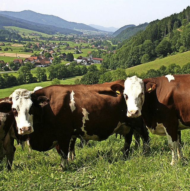 Das Geld fliet auch in das Projekt &#8222;Wiesenmeisterschaft&#8220;   | Foto: ZVG