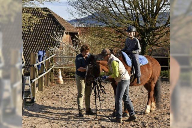 Reitplatz soll Dach bekommen