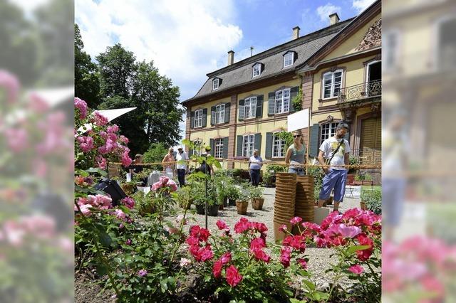 Am Wochenende ist Biogartenmesse im Schloss Ebnet
