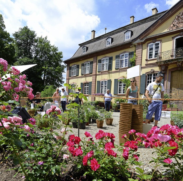 Im Vorjahr kamen rund 2700 Besucher zur Biogartenmesse.   | Foto: Eggstein