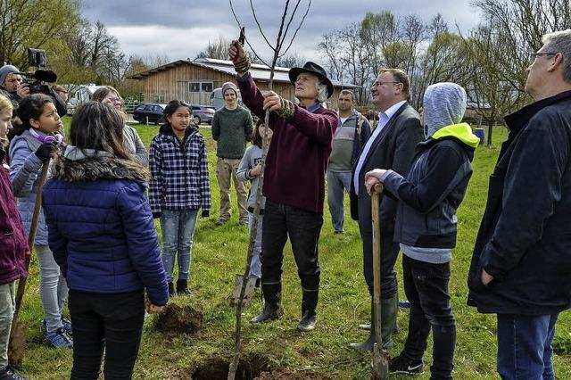 Vom Pflanzen bis zur Verarbeitung