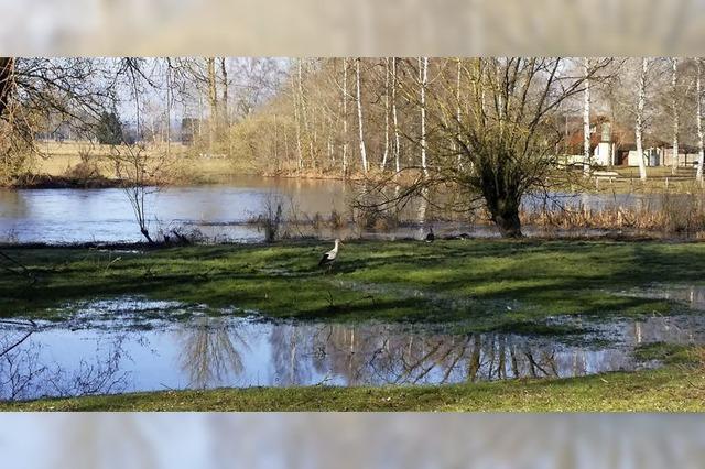 Zum Donauufer geht’s nun beim Caf