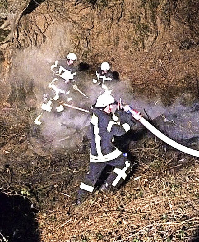 Erst gab es meterhohe Flammen, doch na...Waldkirch den Brand am Hang im Griff.   | Foto: Feuerwehr