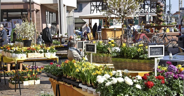 Ein Blumenmeer bestimmte das Bild beim...- und Frhlingsmarkt in Gundelfingen.   | Foto: Andrea Steinhart