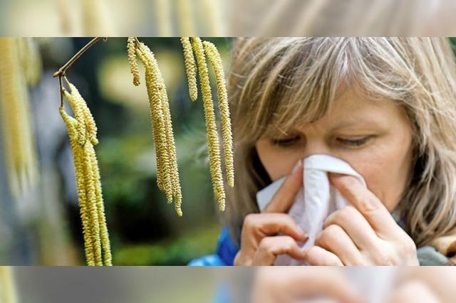 Pollen machen Allergikern zu schaffen